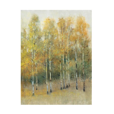 Tim OToole 'Woodland Edge IV' Canvas Art, 35x47